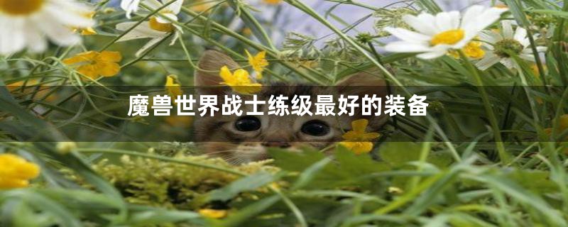 魔兽世界战士练级最好的装备