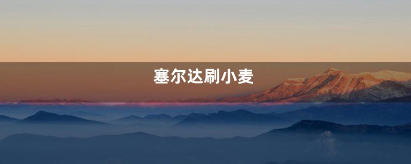 塞尔达刷小麦