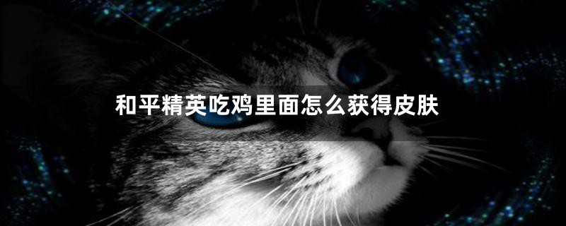 和平精英吃鸡里面怎么获得皮肤
