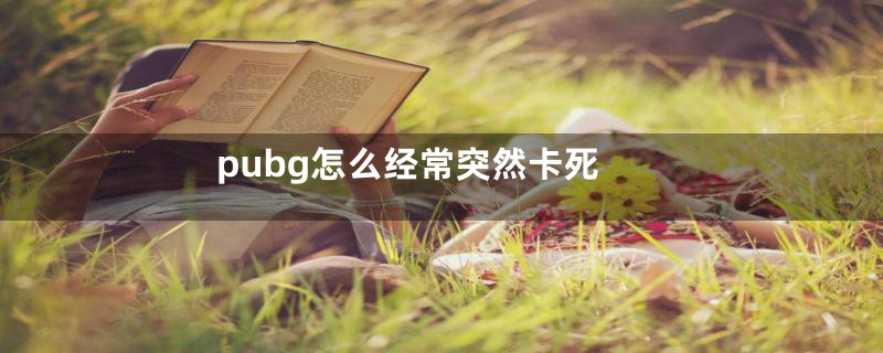 pubg怎么经常突然卡死