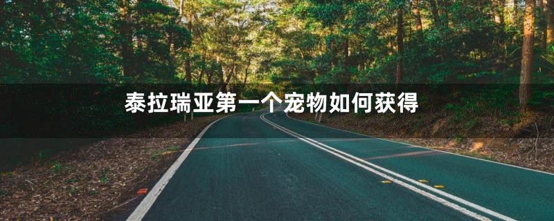 泰拉瑞亚第一个宠物如何获得
