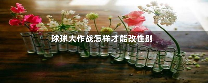 球球大作战怎样才能改性别