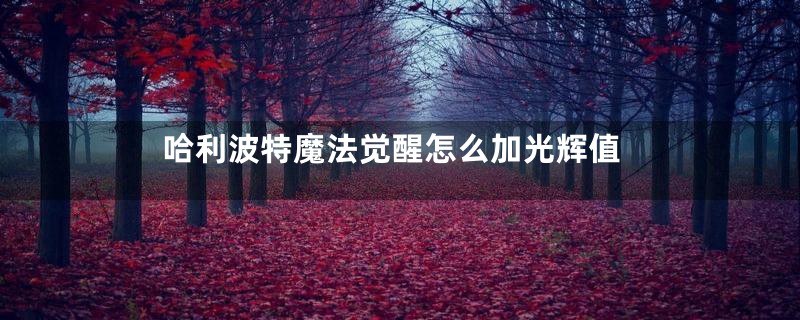 哈利波特魔法觉醒怎么加光辉值