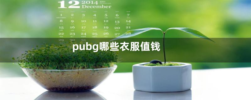pubg哪些衣服值钱