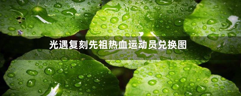 光遇复刻先祖热血运动员兑换图
