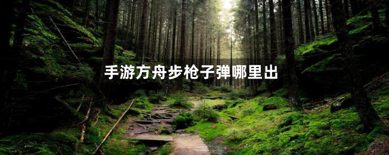 手游方舟步枪子弹哪里出