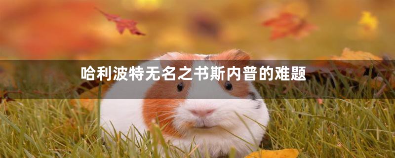 哈利波特无名之书斯内普的难题