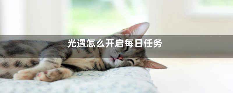 光遇怎么开启每日任务