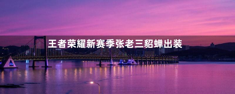 王者荣耀新赛季张老三貂蝉出装