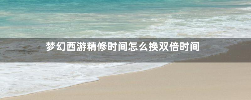 梦幻西游精修时间怎么换双倍时间