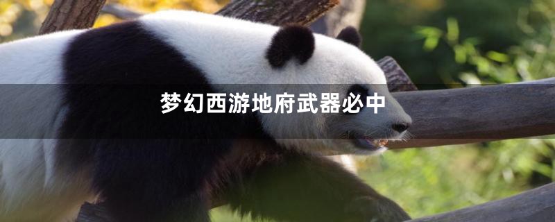 梦幻西游地府武器必中